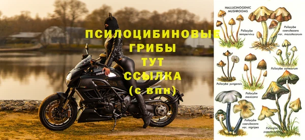 винт Кинешма