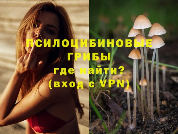 эйфоретик Кодинск