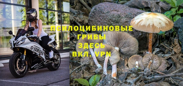винт Кинешма