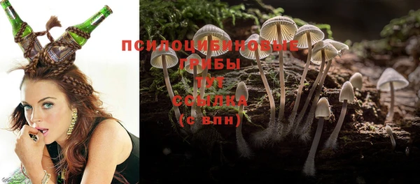 первитин Козельск