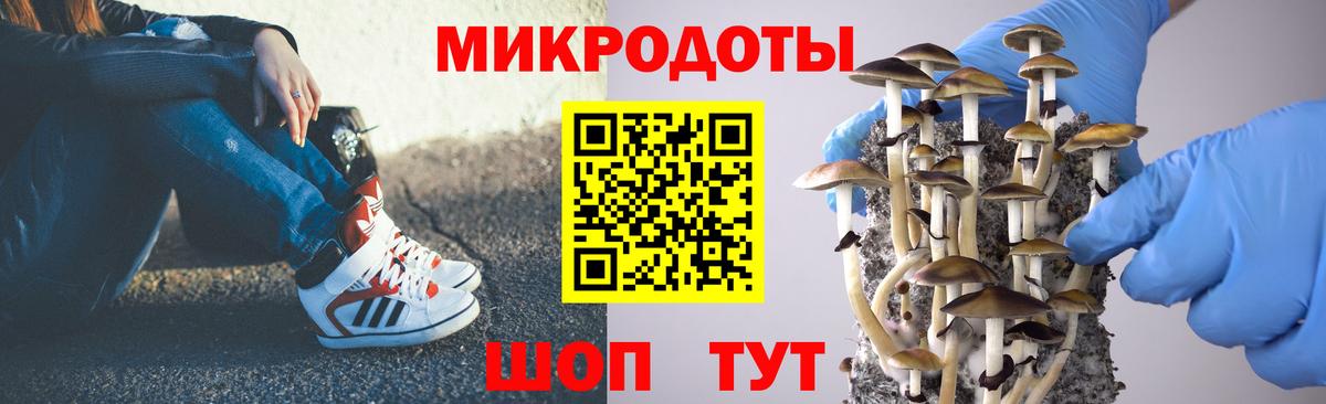 Галлюциногенные грибы прущие грибы  Вход с VPN  Ноябрьск 